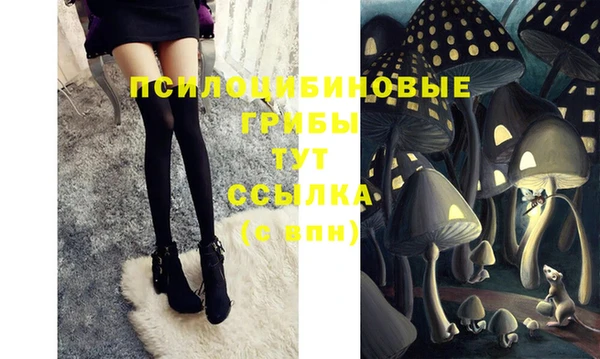 MESCALINE Абаза