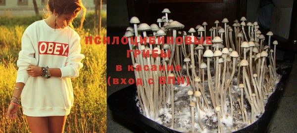 MESCALINE Абаза