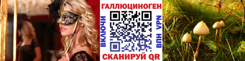Псилоцибиновые грибы Cubensis  даркнет формула  Никольск  где продают  